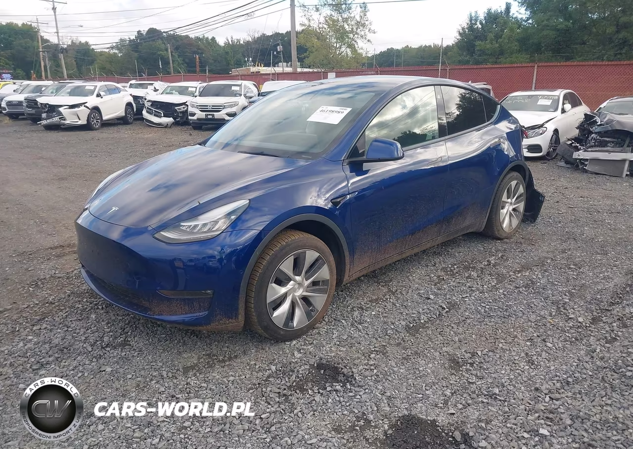 2021 Tesla Model Y Standard Range Rear-Wheel Drive VIN:5YJYGDED6MF106428 - 2