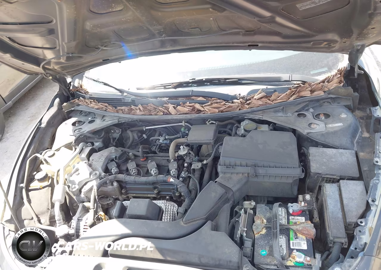 2013 Nissan Altima 2.5 VIN:1N4AL3AP0DN445443 - 10
