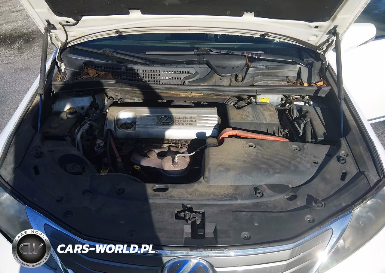 2010 Lexus Hs 250H Premium VIN:JTHBB1BA6A2035872 - 10