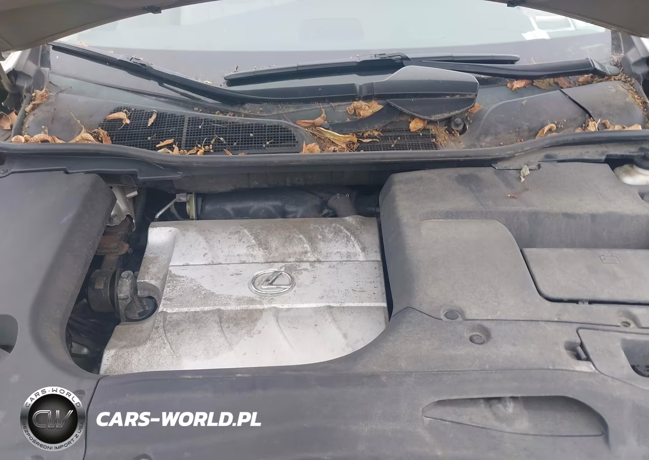 2013 Lexus Rx 350 VIN:2T2BK1BA3DC182136 - 10