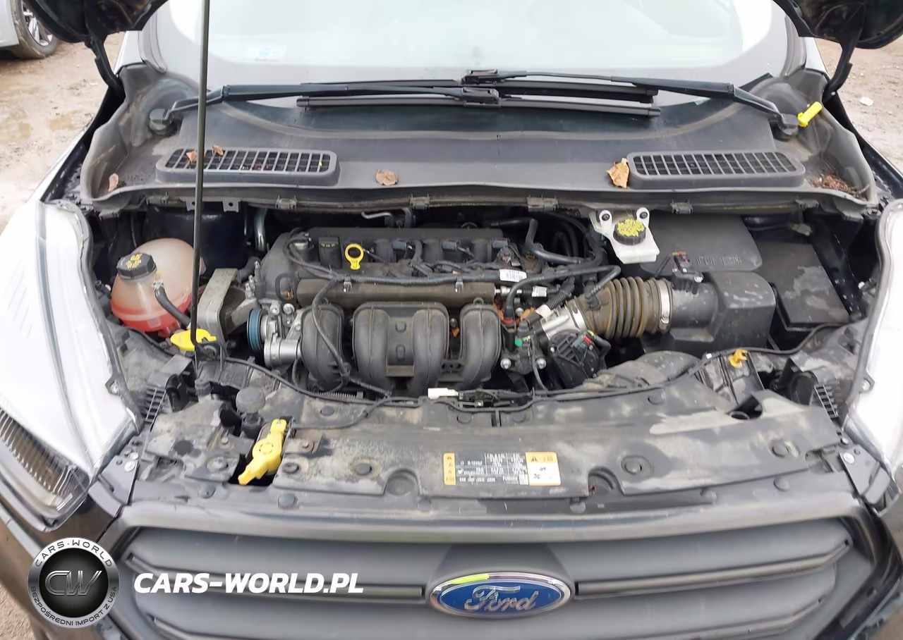 2019 Ford Escape S VIN:1FMCU0F77KUA31971 - 10