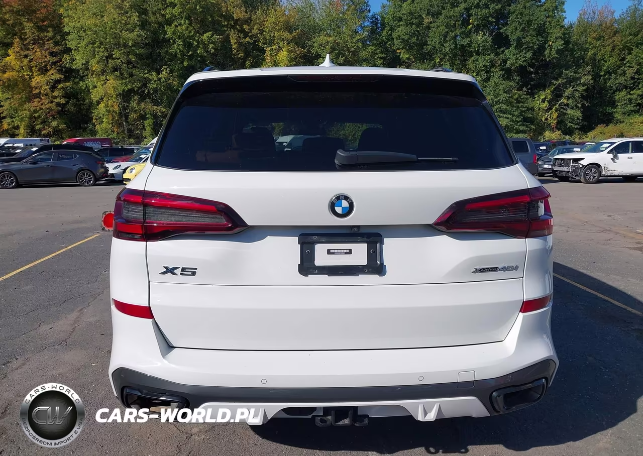 2023 BMW X5 xDrive40I VIN:5UXCR6C06P9P06623 - 17