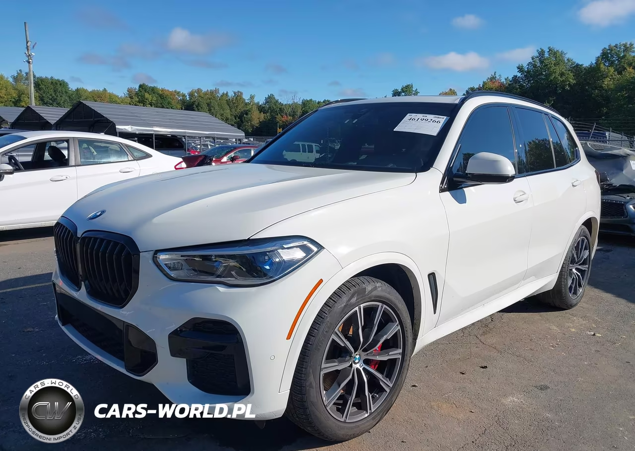 2023 BMW X5 xDrive40I VIN:5UXCR6C06P9P06623 - 2