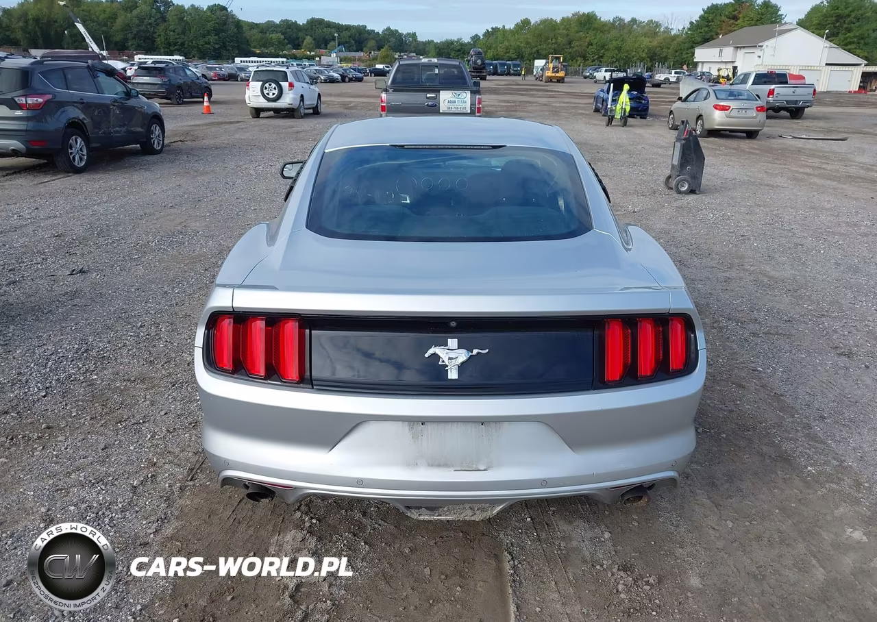 2017 Ford Mustang V6 VIN:1FA6P8AM3H5255364 - 17