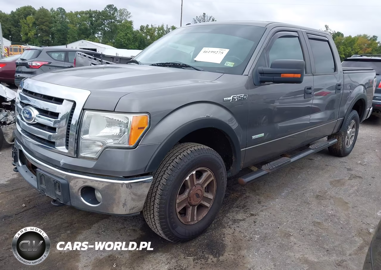 2011 Ford F-150 Xlt VIN:1FTFW1ET6BFB36604 - 2