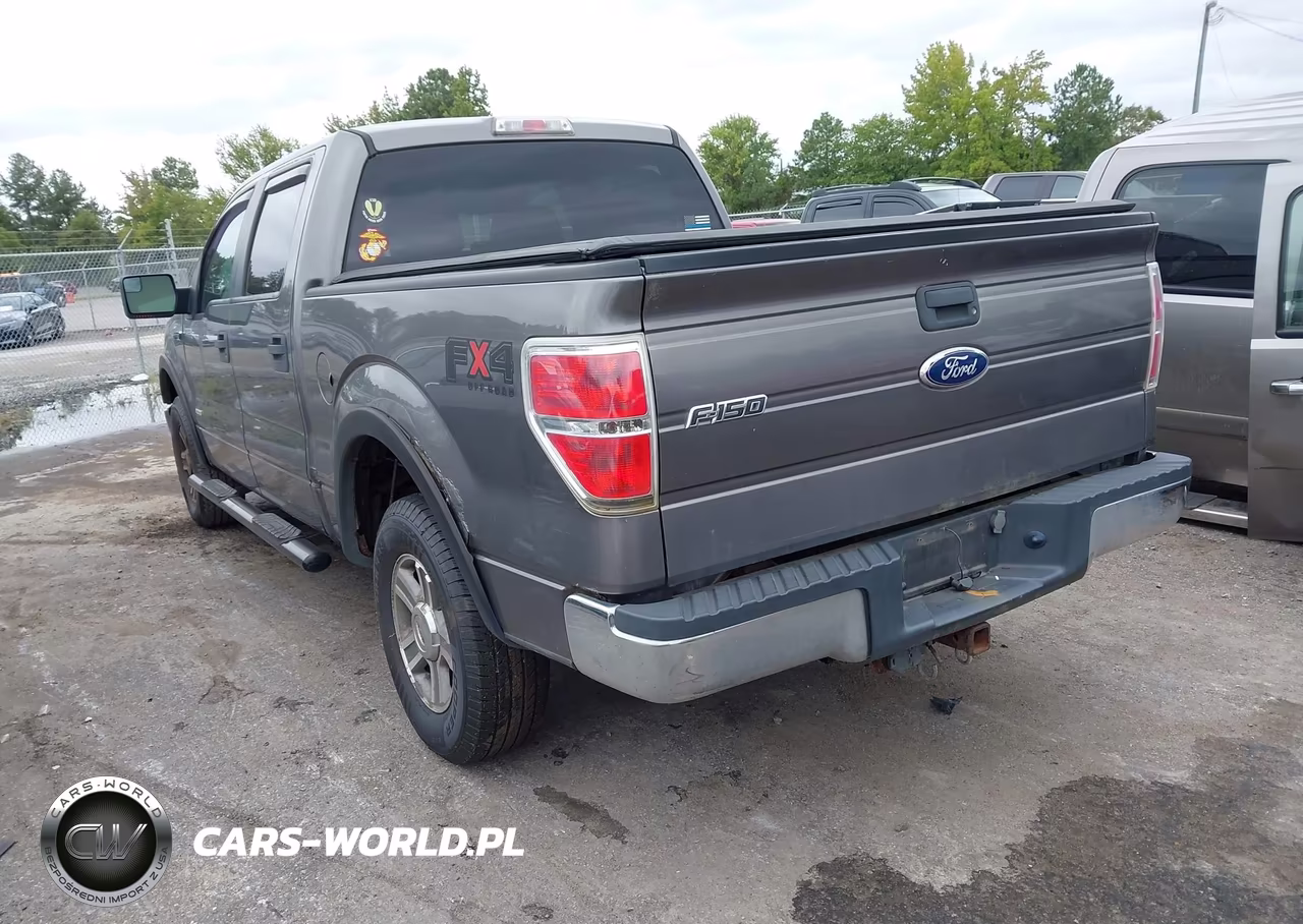 2011 Ford F-150 Xlt VIN:1FTFW1ET6BFB36604 - 3