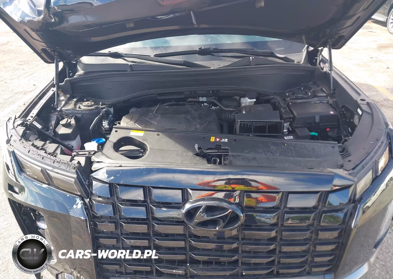 2025 Hyundai Palisade Sel Premium VIN:KM8R44GE5SU945599 - 10