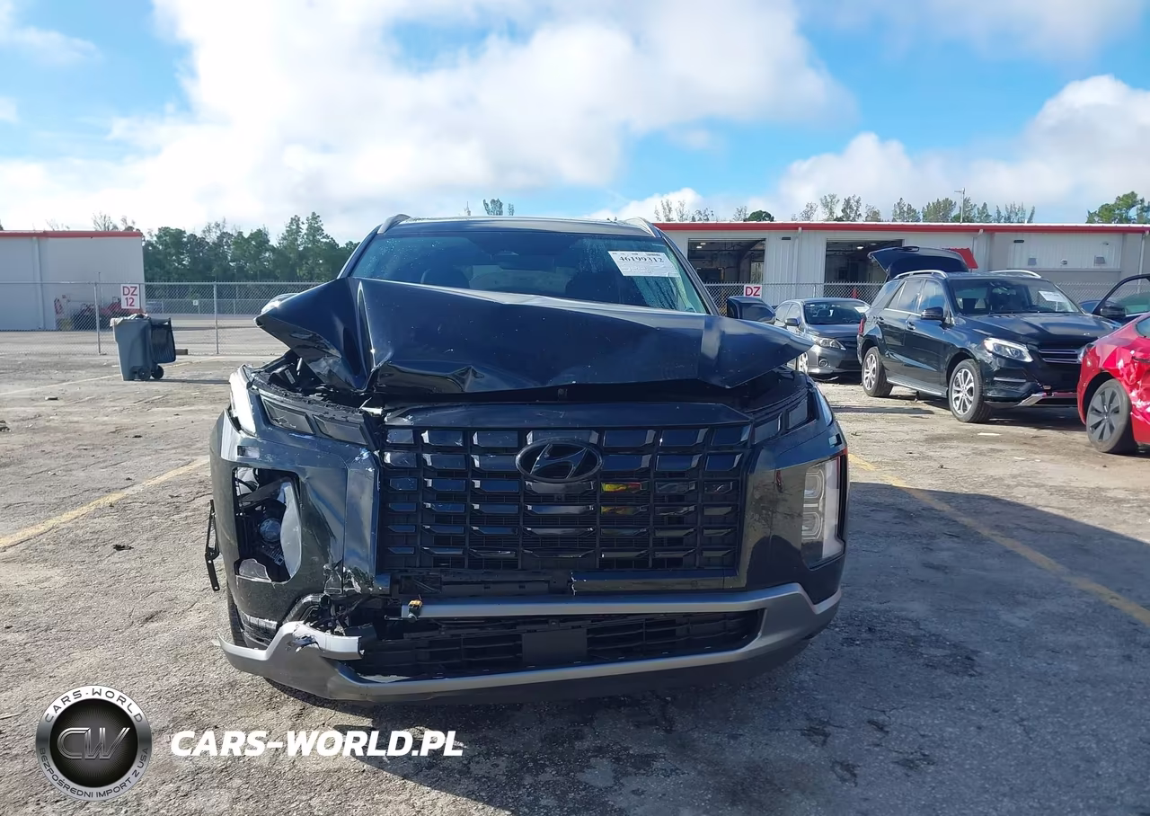 2025 Hyundai Palisade Sel Premium VIN:KM8R44GE5SU945599 - 12