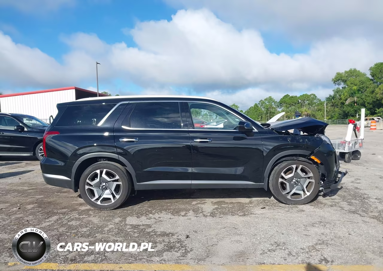 2025 Hyundai Palisade Sel Premium VIN:KM8R44GE5SU945599 - 13
