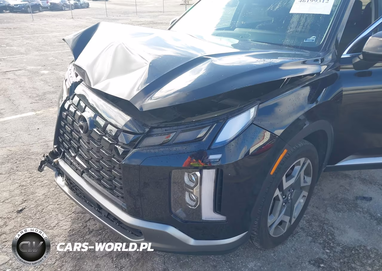 2025 Hyundai Palisade Sel Premium VIN:KM8R44GE5SU945599 - 6