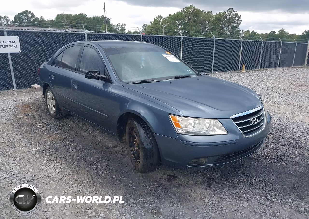 2010 Hyundai Sonata Gls VIN:5NPET4AC9AH641732 - 1