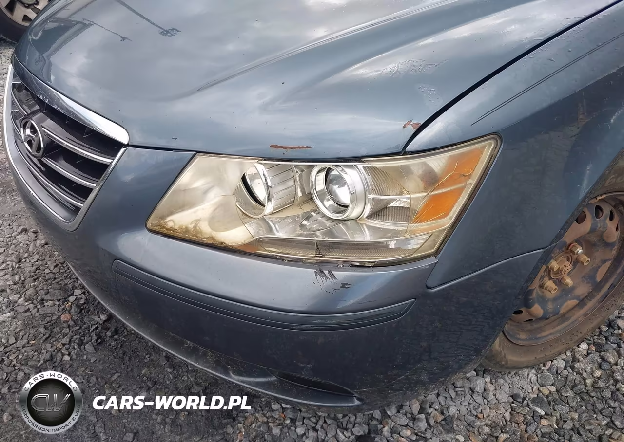 2010 Hyundai Sonata Gls VIN:5NPET4AC9AH641732 - 6
