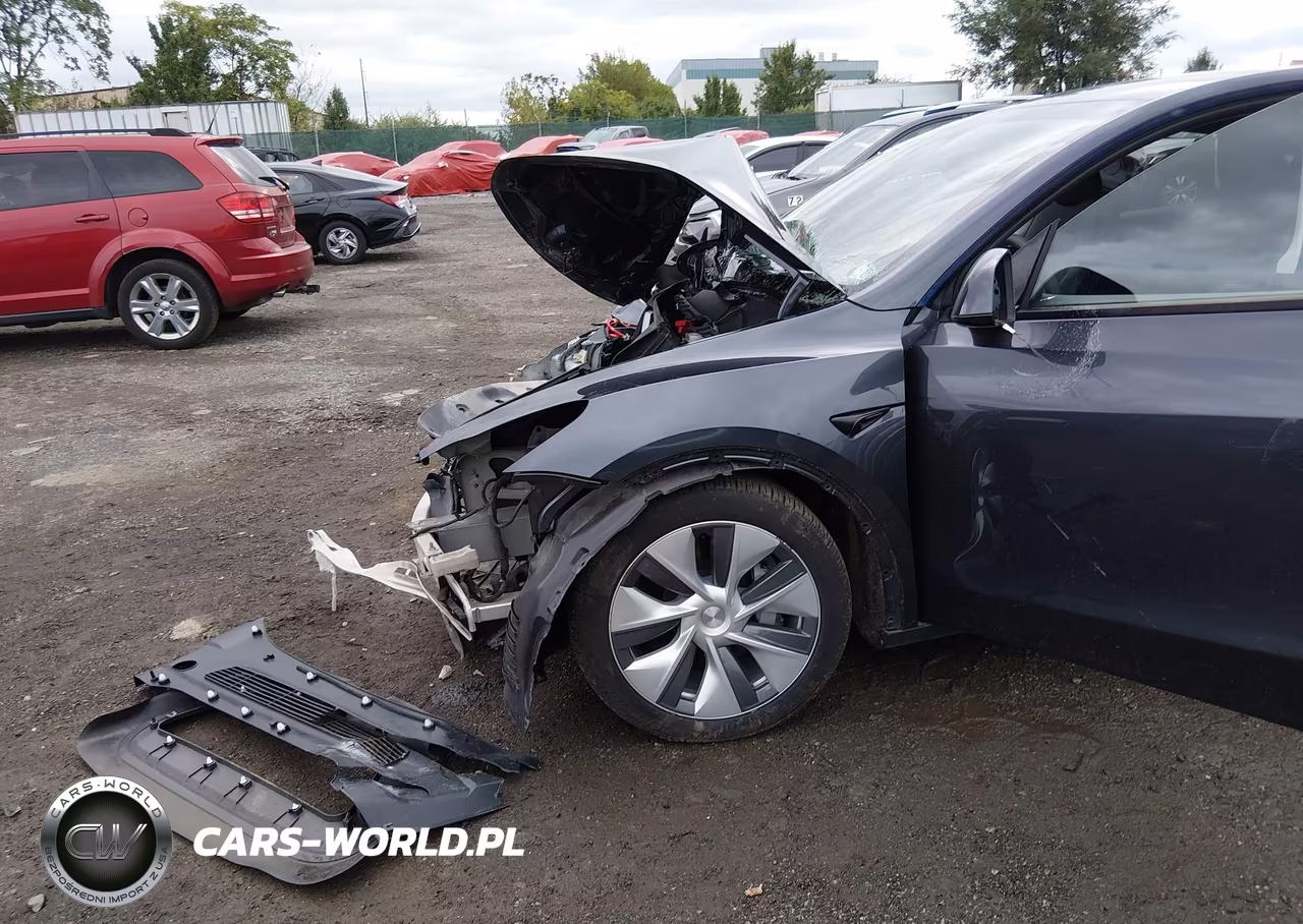 2024 Tesla Model Y Long Range Dual Motor All-Wheel Drive VIN:7SAYGDEE2RA270811 - 6