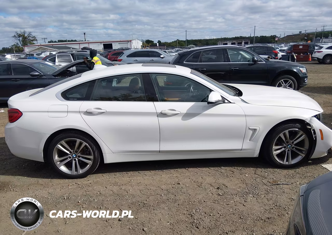 2019 BMW 430I Gran Coupe xDrive VIN:WBA4J3C51KBL08323 - 13
