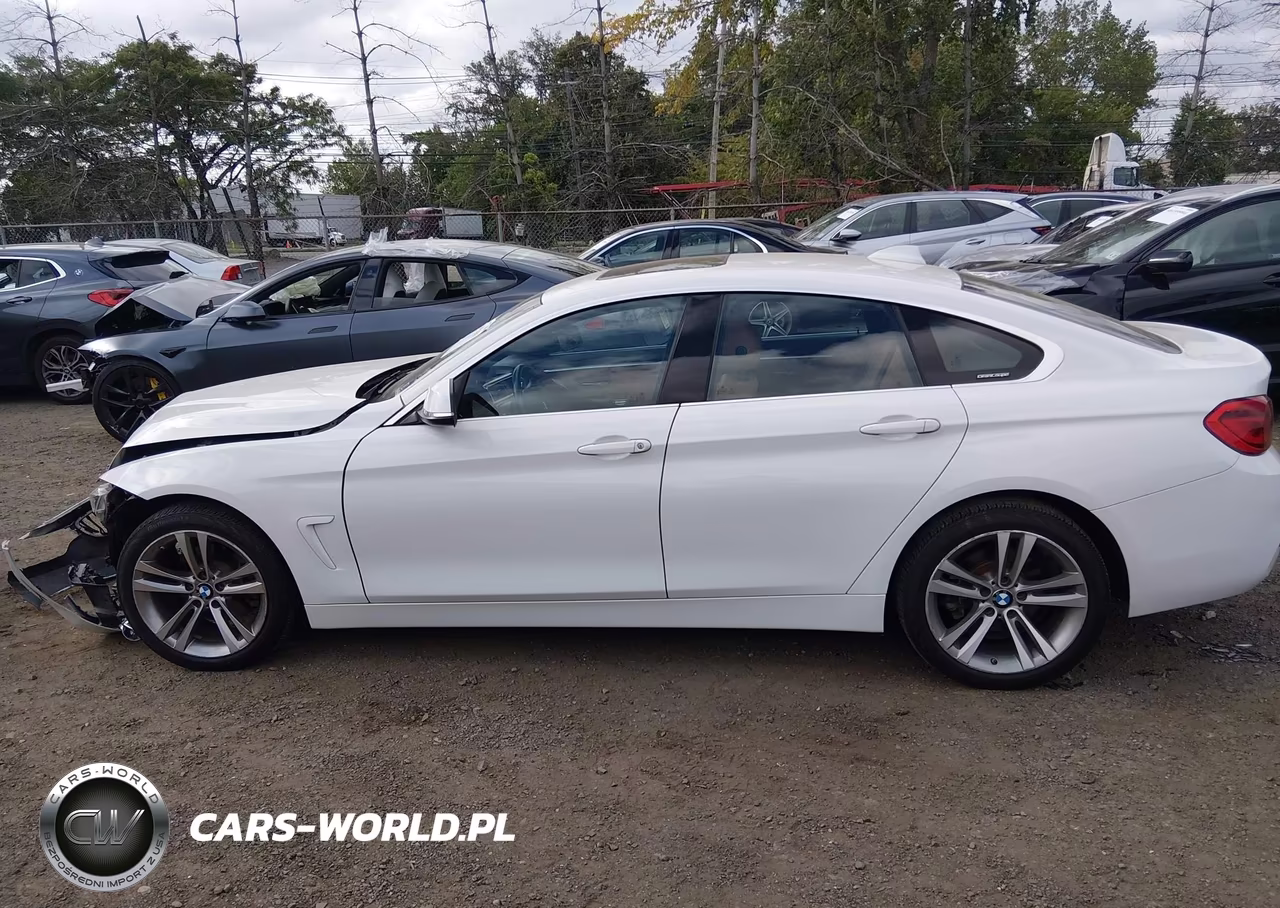 2019 BMW 430I Gran Coupe xDrive VIN:WBA4J3C51KBL08323 - 14