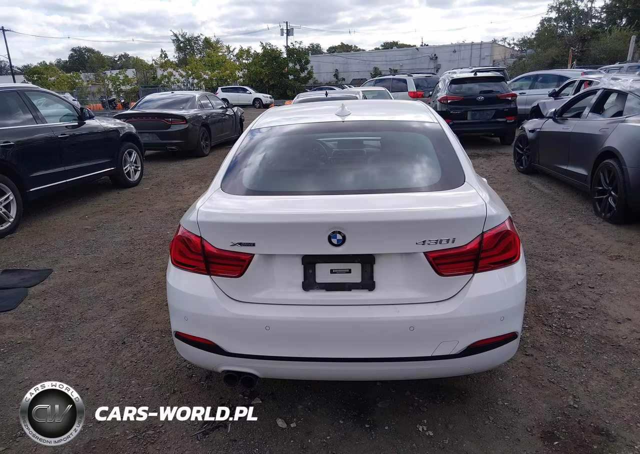 2019 BMW 430I Gran Coupe xDrive VIN:WBA4J3C51KBL08323 - 16