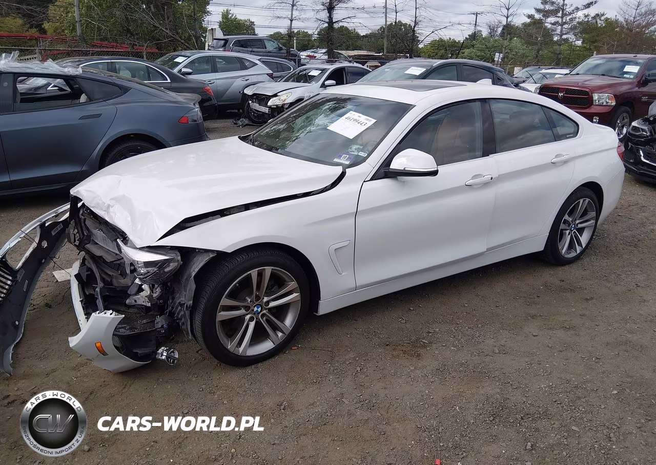 2019 BMW 430I Gran Coupe xDrive VIN:WBA4J3C51KBL08323 - 2
