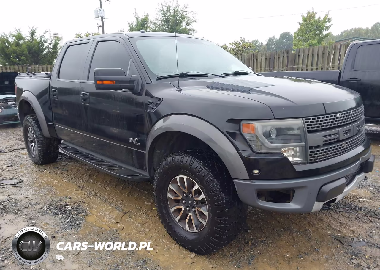 2013 Ford F-150 Svt Raptor VIN:1FTFW1R66DFB38246 - 1