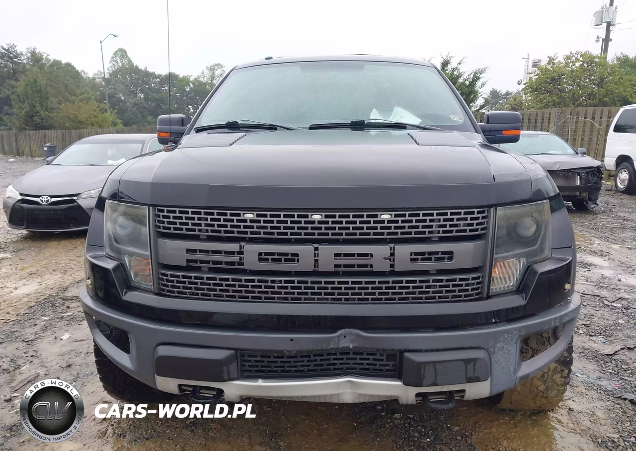 2013 Ford F-150 Svt Raptor VIN:1FTFW1R66DFB38246 - 12