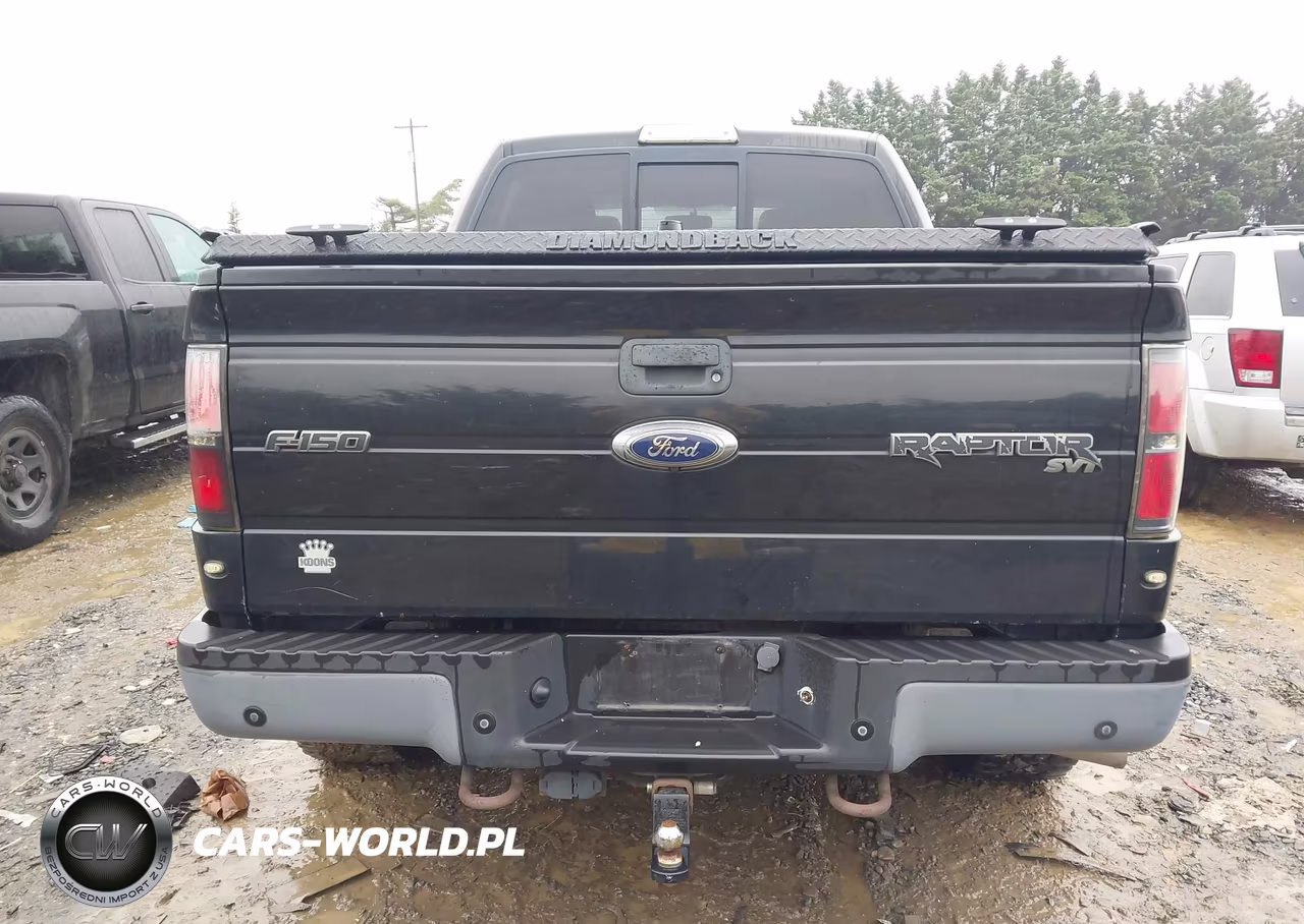 2013 Ford F-150 Svt Raptor VIN:1FTFW1R66DFB38246 - 16