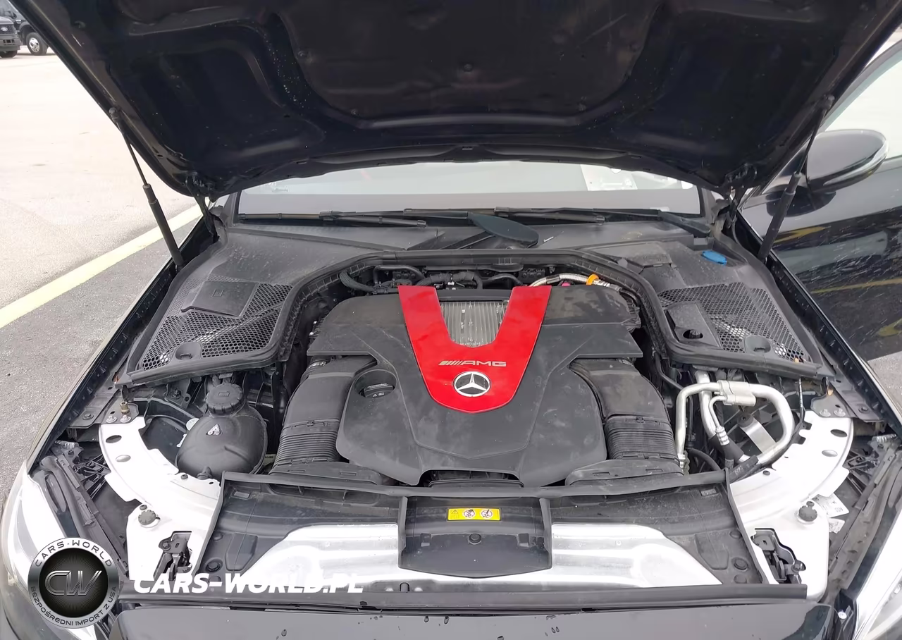 2019 Mercedes-Benz Amg C 43 4Matic VIN:55SWF6EB6KU294674 - 10