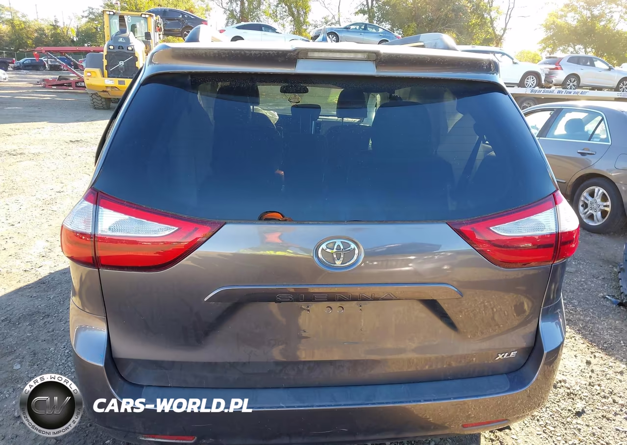 2018 Toyota Sienna Xle 8 Passenger VIN:5TDYZ3DC5JS925175 - 16