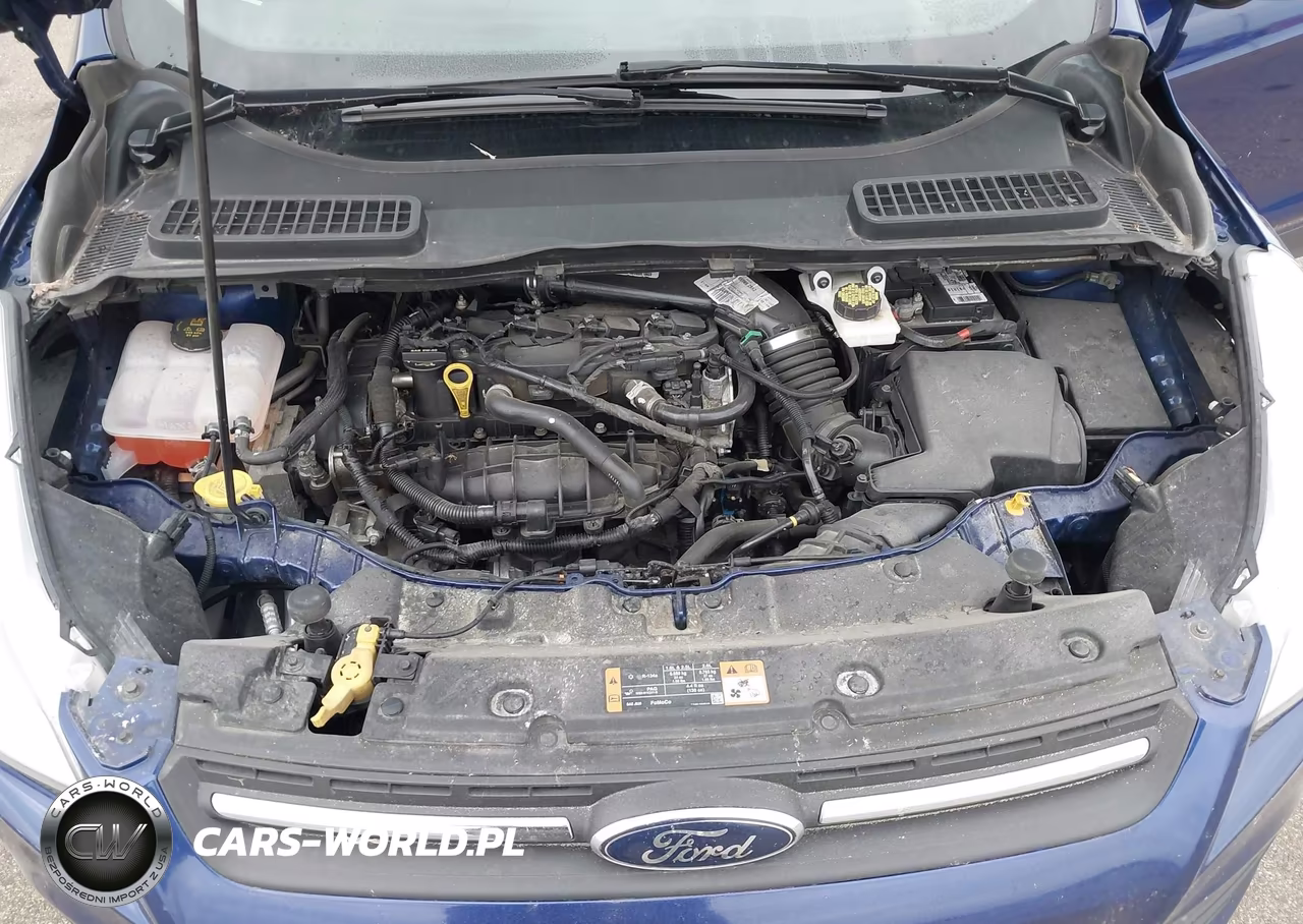 2014 Ford Escape Se VIN:1FMCU0GX2EUE08659 - 10