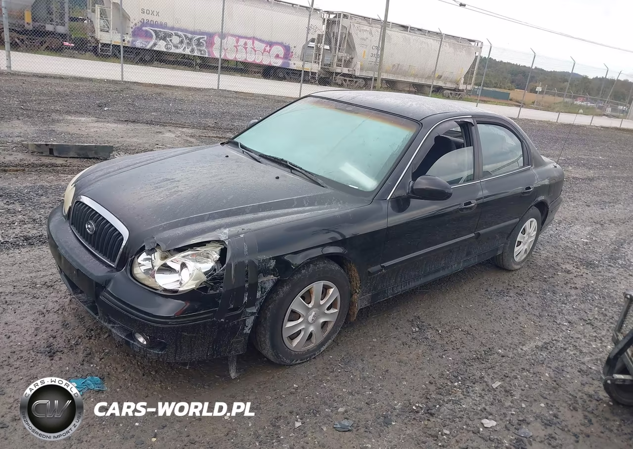 2004 Hyundai Sonata VIN:KMHWF25S54A930003 - 2