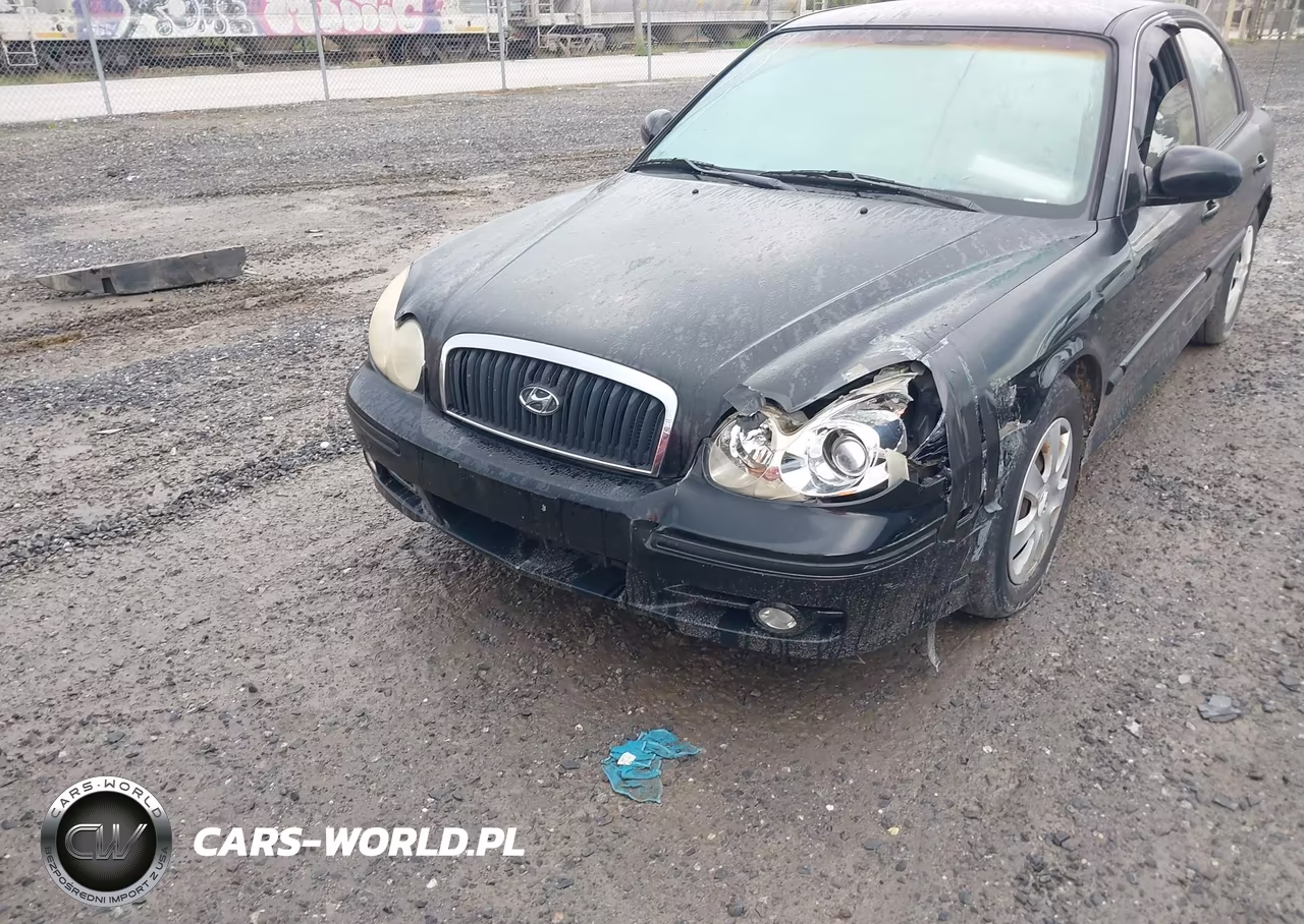 2004 Hyundai Sonata VIN:KMHWF25S54A930003 - 6