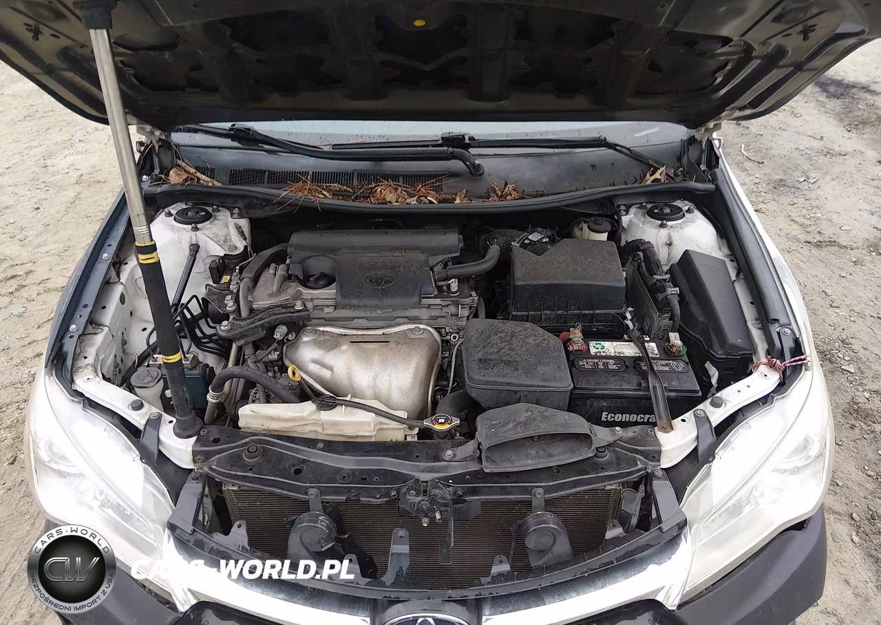 2015 Toyota Camry Se VIN:4T1BF1FK4FU069745 - 10