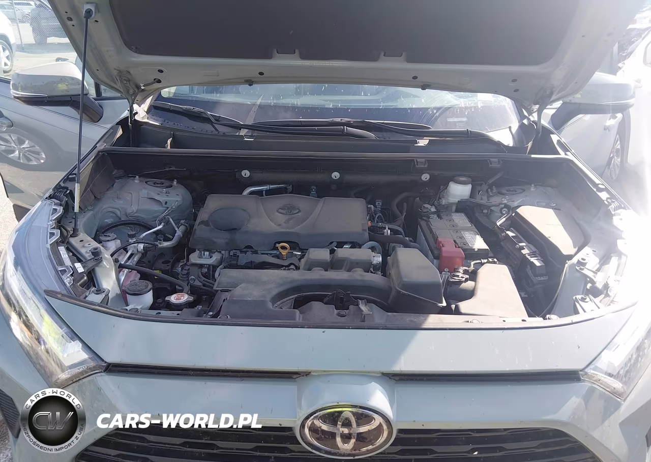 2023 Toyota Rav4 Xle VIN:2T3W1RFV1PW289278 - 10