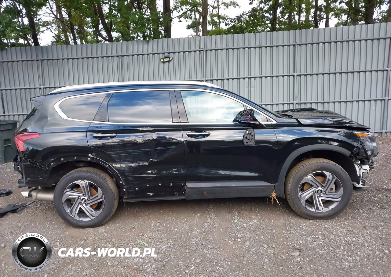 2023 Hyundai Santa Fe Sel VIN:5NMS2DAJ4PH583118 - 13