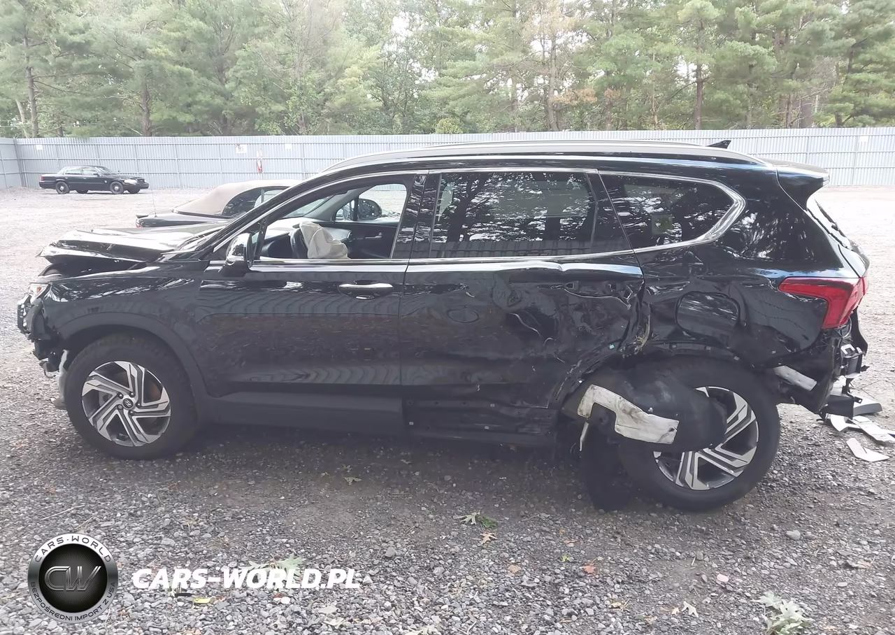 2023 Hyundai Santa Fe Sel VIN:5NMS2DAJ4PH583118 - 14