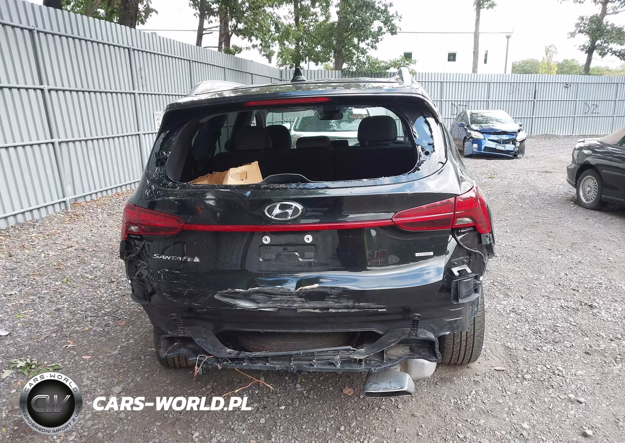 2023 Hyundai Santa Fe Sel VIN:5NMS2DAJ4PH583118 - 16