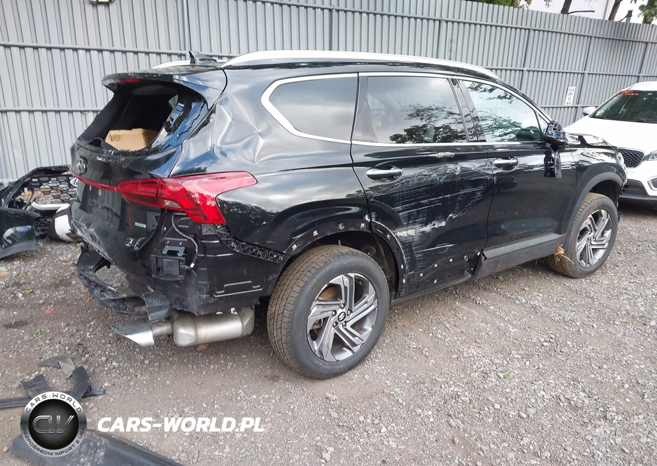 2023 Hyundai Santa Fe Sel VIN:5NMS2DAJ4PH583118 - 4