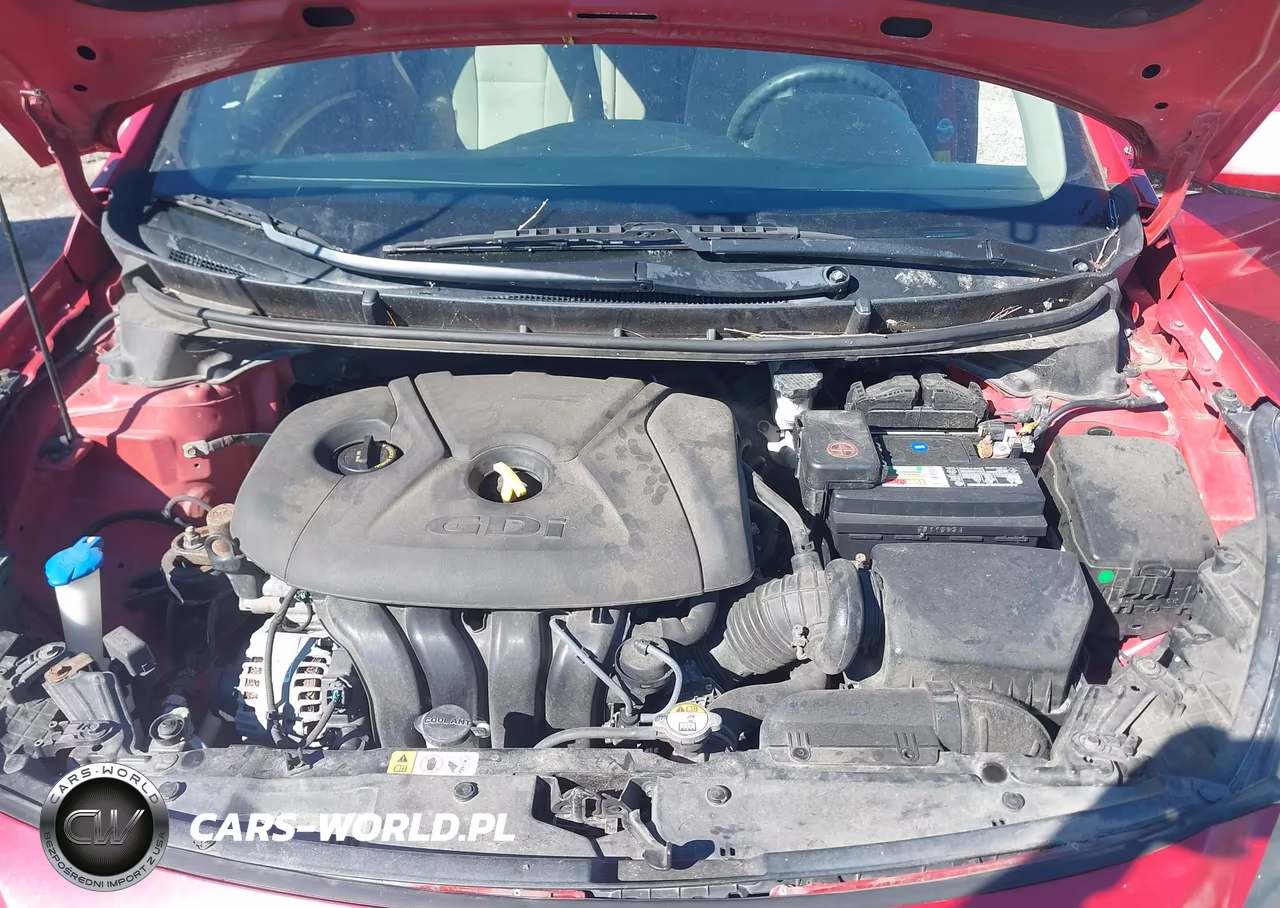 2014 Hyundai Elantra Gt VIN:KMHD35LH5EU218289 - 10