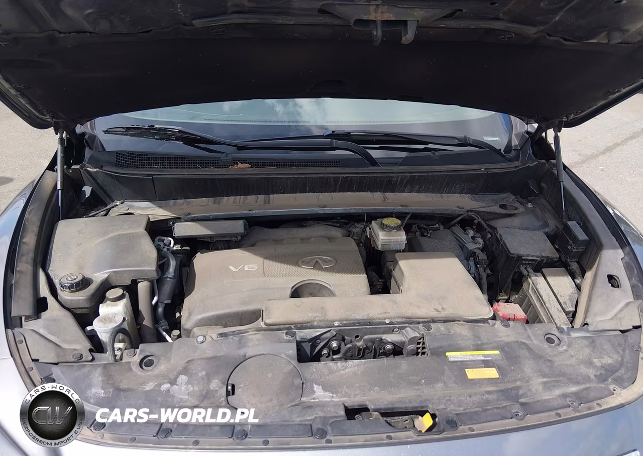 2019 Infiniti Qx60 Luxe VIN:5N1DL0MM6KC548748 - 10