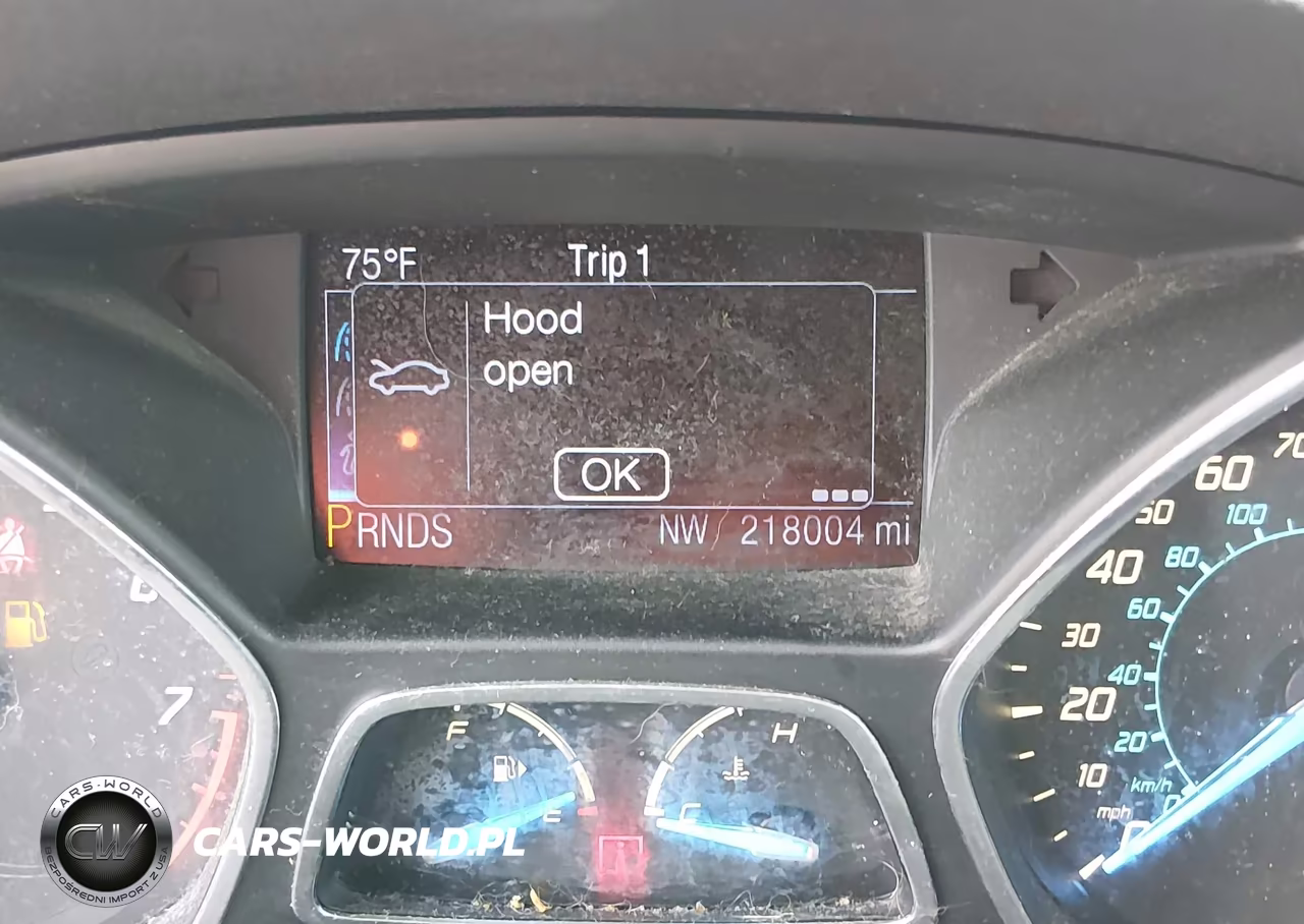 2013 Ford Escape Titanium VIN:1FMCU9J92DUB77890 - 6