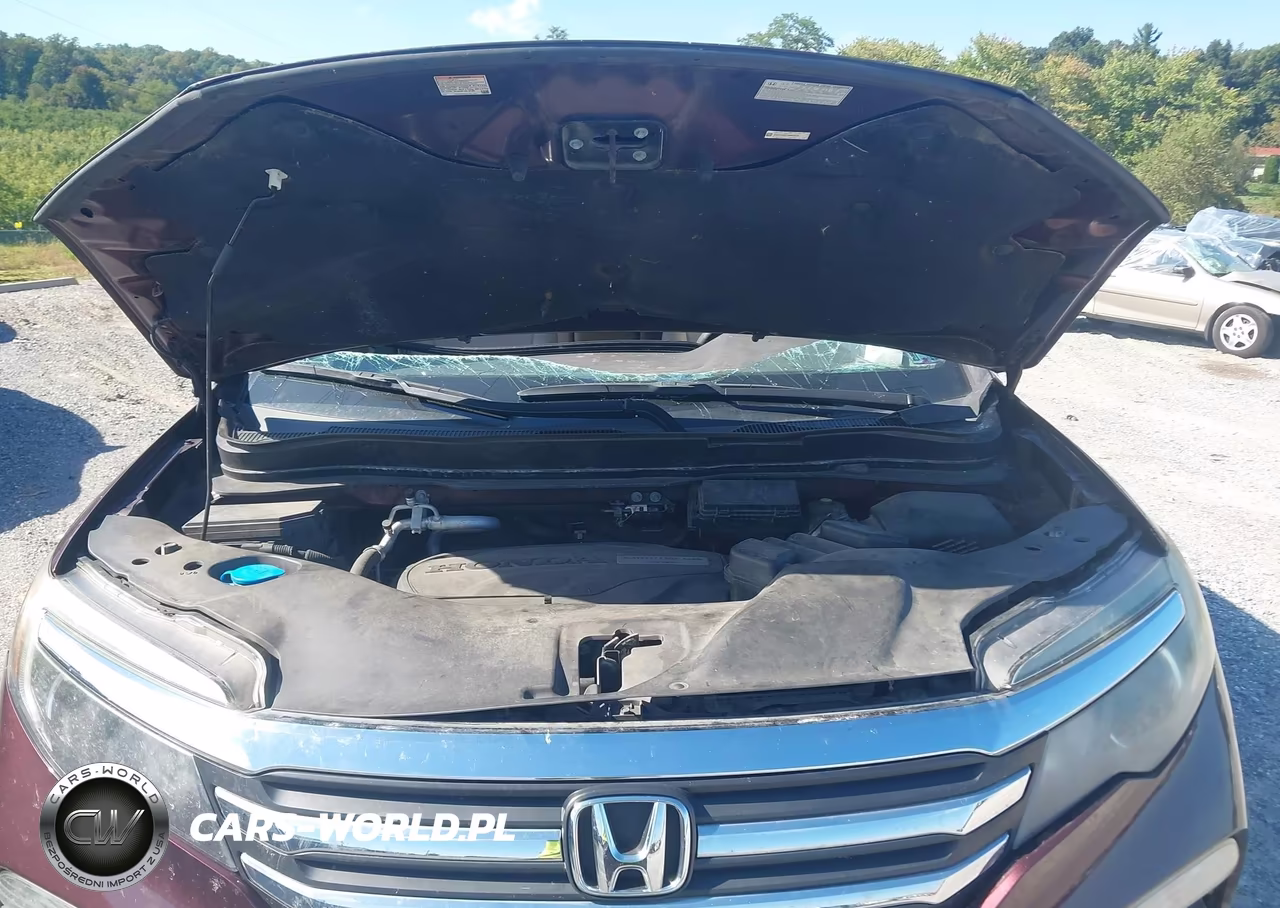 2016 Honda Pilot Ex-L VIN:5FNYF6H87GB069570 - 10