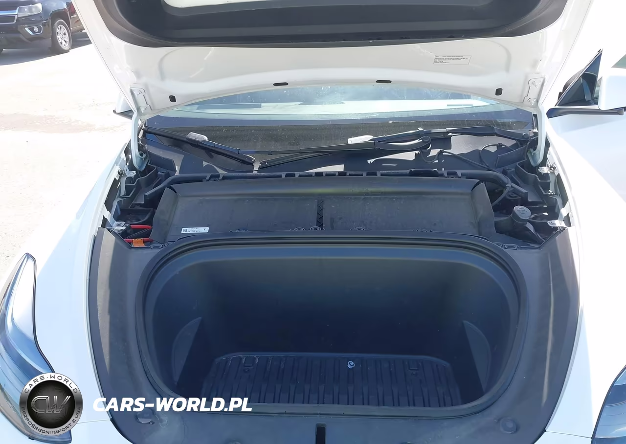 2022 Tesla Model Y Performance Dual Motor All-Wheel Drive VIN:7SAYGDEF0NF380973 - 10