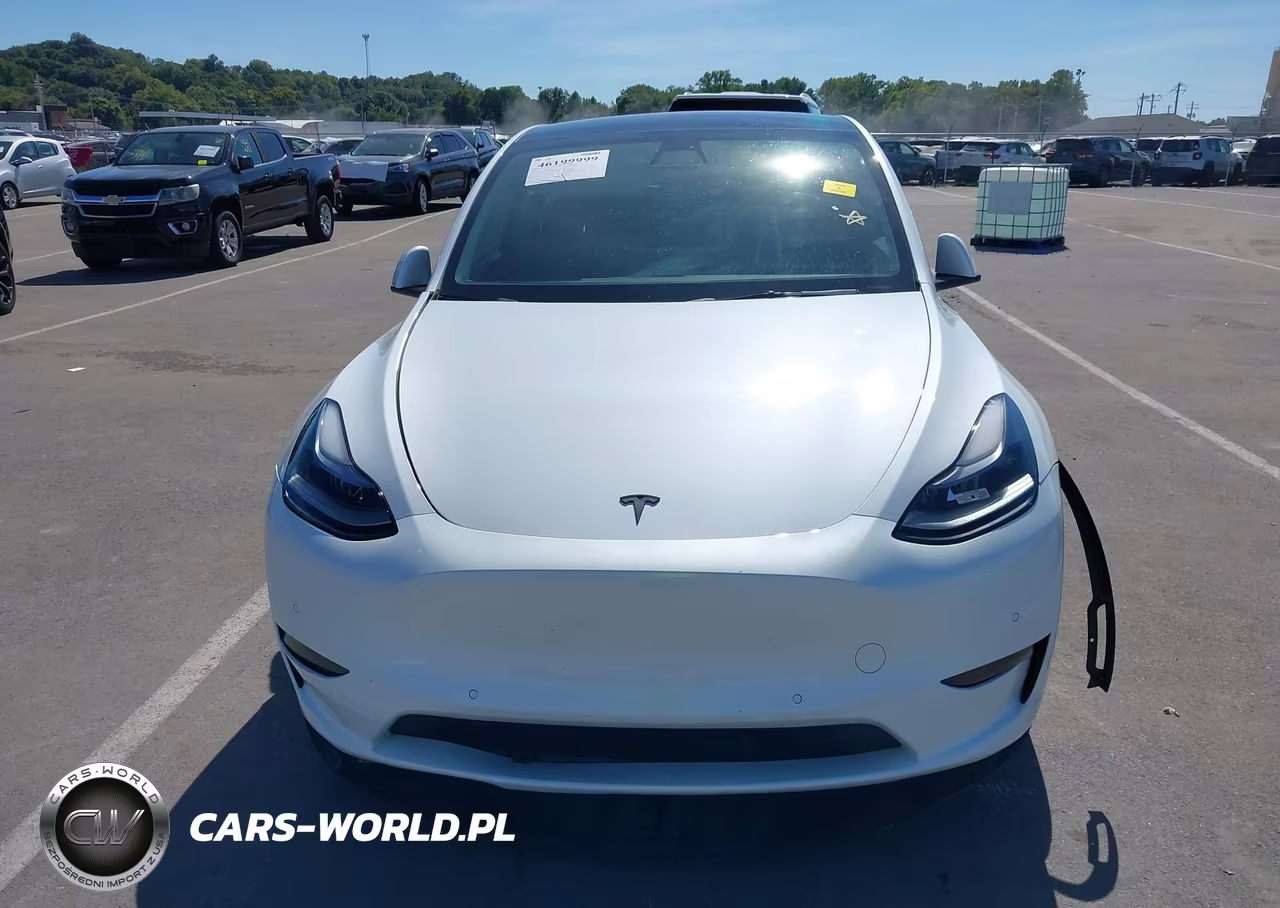 2022 Tesla Model Y Performance Dual Motor All-Wheel Drive VIN:7SAYGDEF0NF380973 - 12