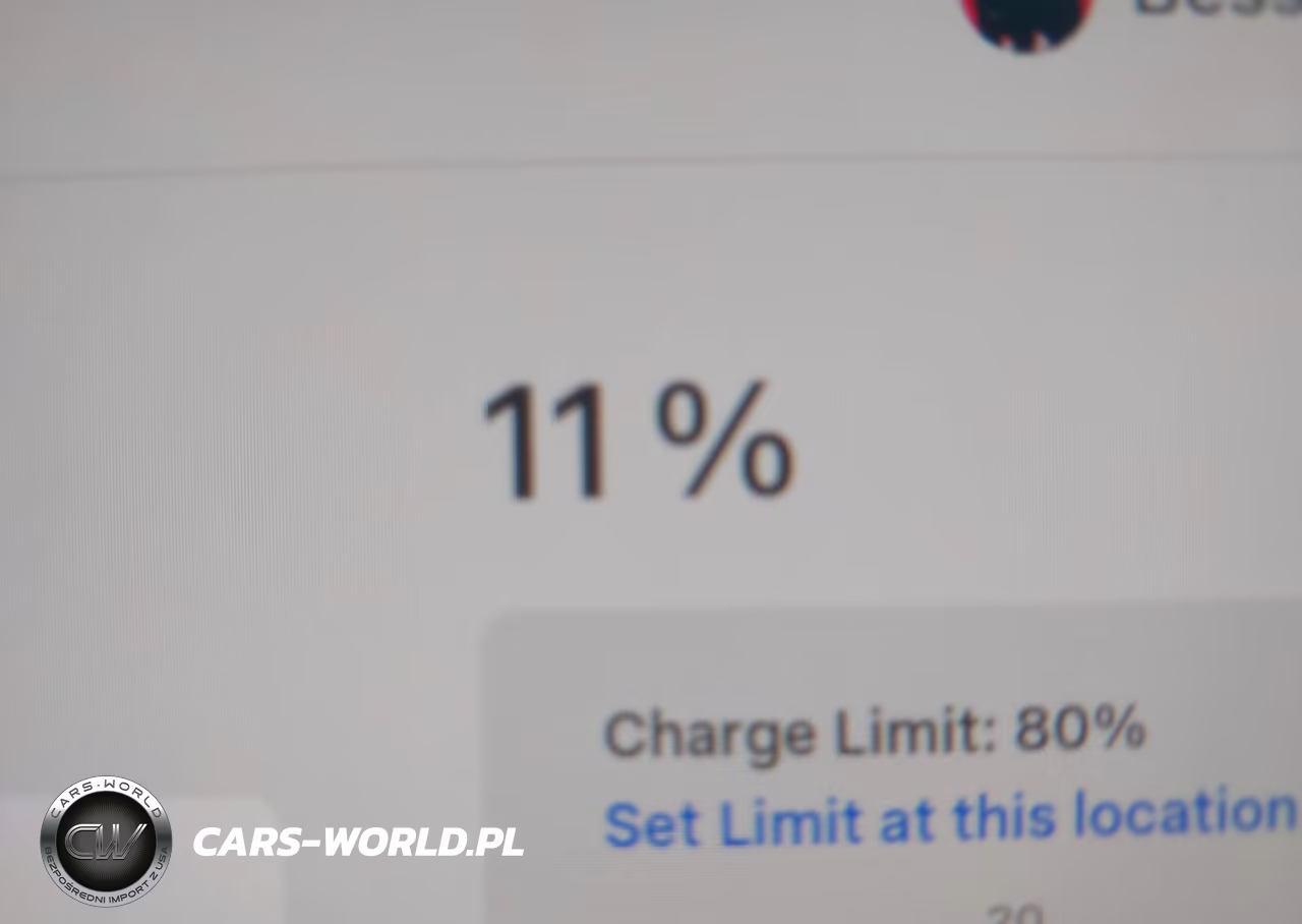 2022 Tesla Model Y Performance Dual Motor All-Wheel Drive VIN:7SAYGDEF0NF380973 - 17