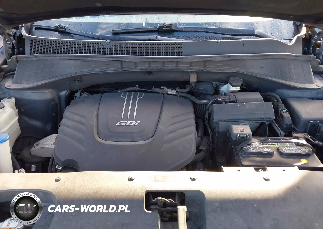 2016 Kia Sorento 3.3L Ex VIN:5XYPHDA56GG132788 - 10