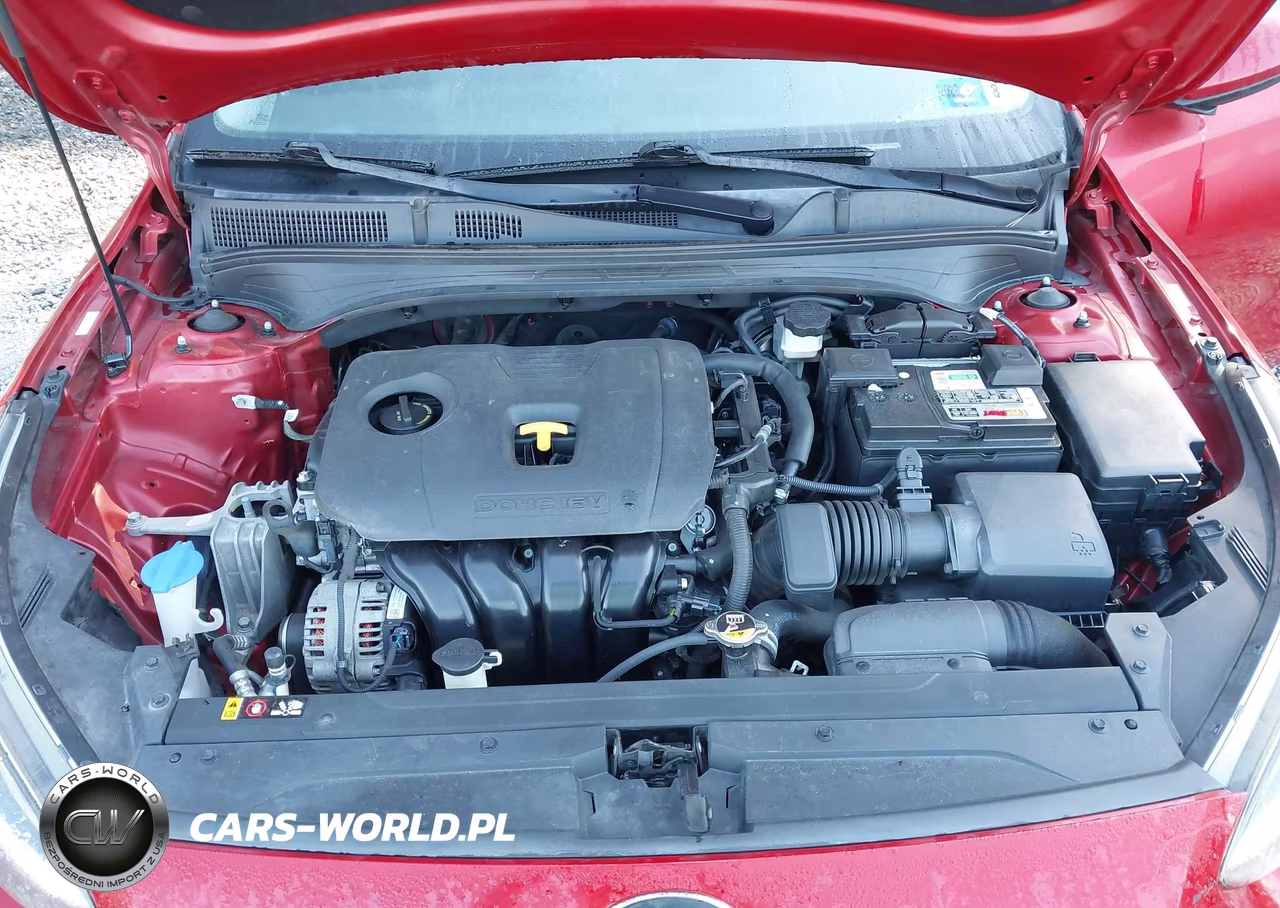 2019 Kia Forte Lxs VIN:3KPF24AD8KE100340 - 10