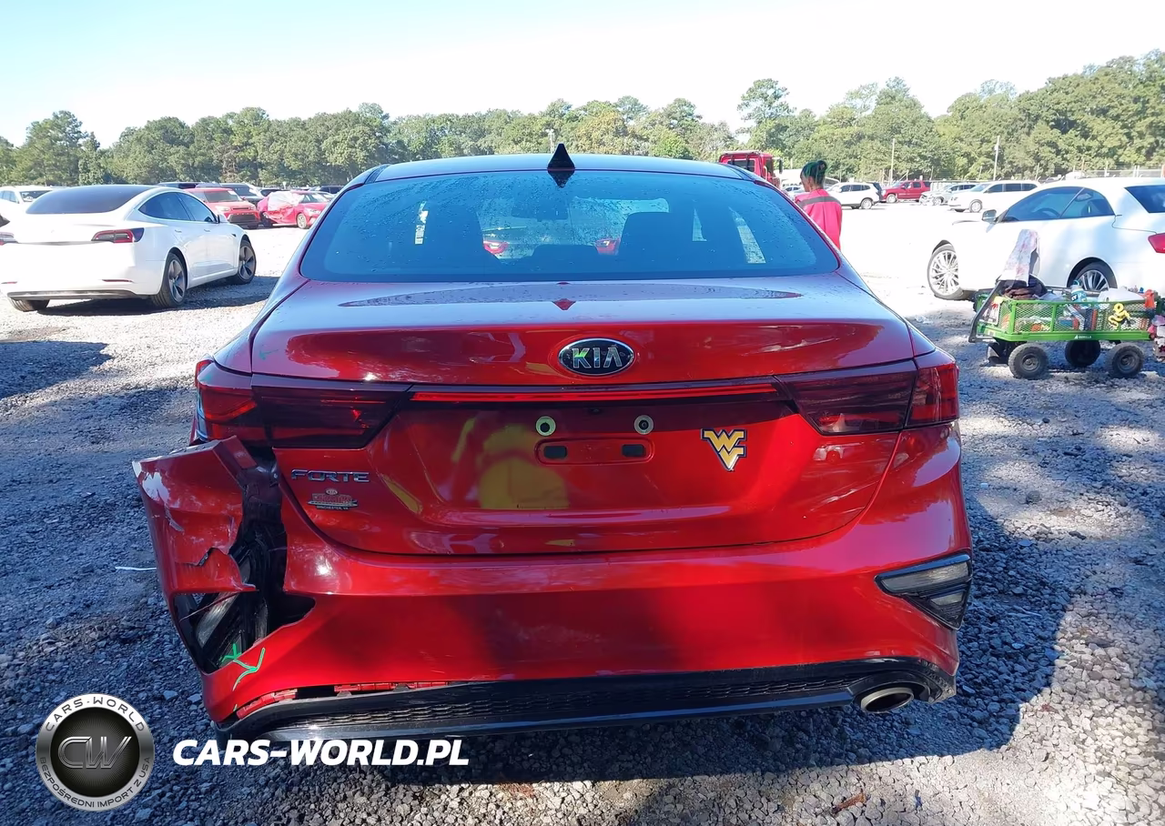 2019 Kia Forte Lxs VIN:3KPF24AD8KE100340 - 16