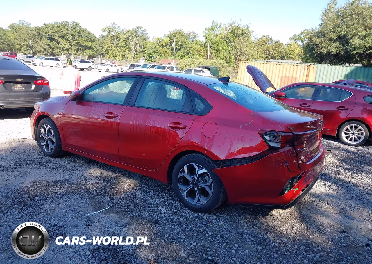 2019 Kia Forte Lxs VIN:3KPF24AD8KE100340 - 3