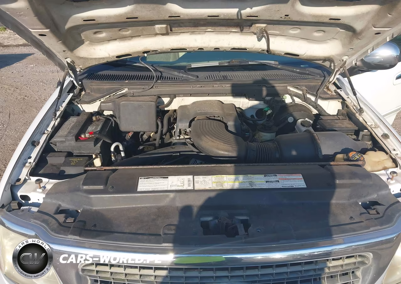 1997 Ford Expedition Eddie Bauer-Xlt VIN:1FMEU1767VLC19372 - 10