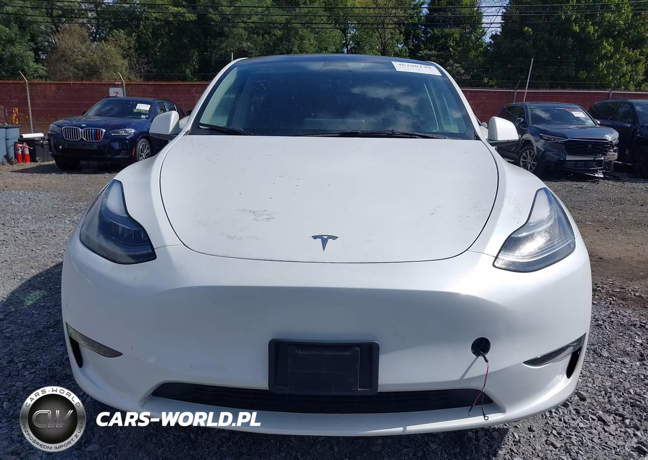 2023 Tesla Model Y Awd-Long Range VIN:7SAYGDEE7PF696350 - 12