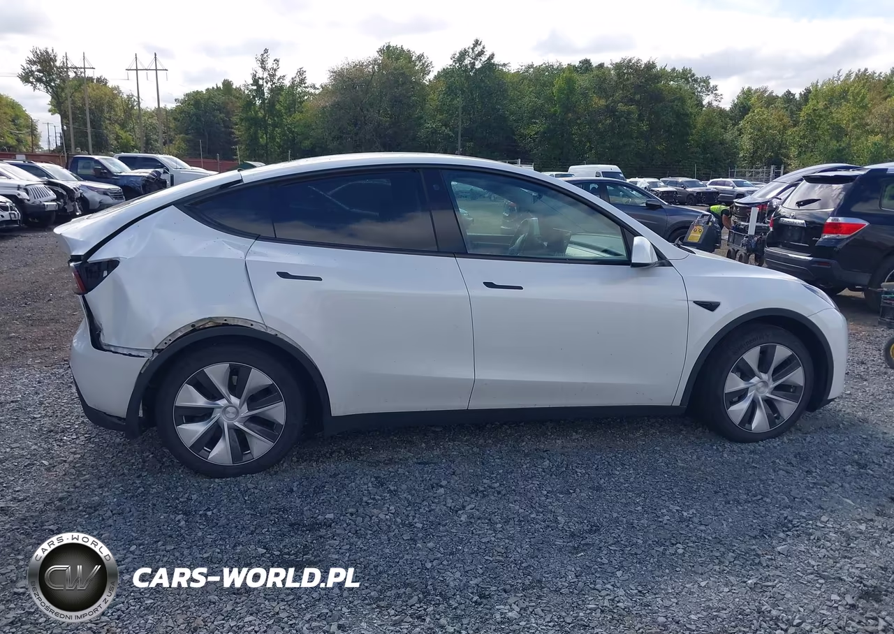 2023 Tesla Model Y Awd-Long Range VIN:7SAYGDEE7PF696350 - 13