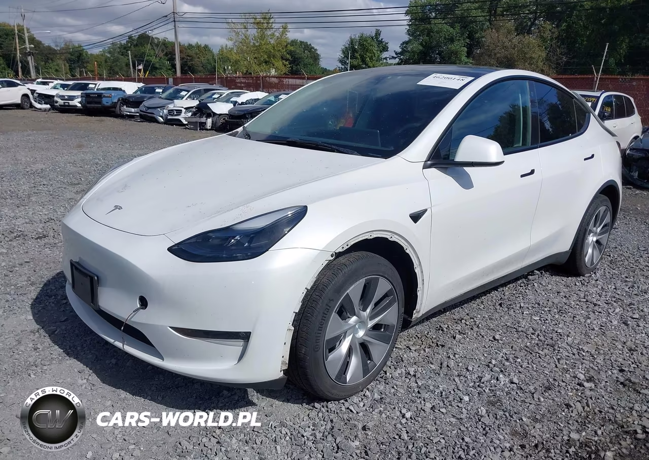 2023 Tesla Model Y Awd-Long Range VIN:7SAYGDEE7PF696350 - 19
